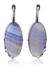 Серьги "Винтаж Дуо" 5154s1SerAgatGol185g1267