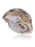 Сувенир "Жеода" 4643SuvAgaBzh150Geode
