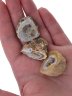 Сувенир "Жеода" 4643SuvAgaBzh150Geode