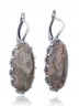 Серьги "Винтаж Дуо" 6467s1SerYashSer265g1266