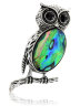 Брошь "Си Фауна" 4433BroGalSin135Owl