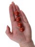 Сувенир "Шар силы" 6935SuvYashKor60Ball